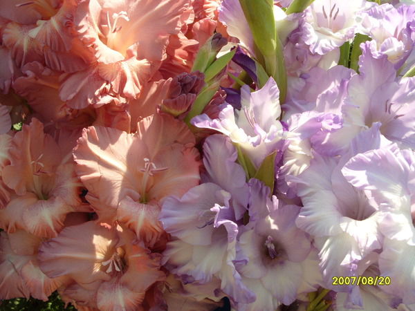 Натали Верховых