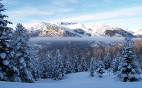 Лариса Власова