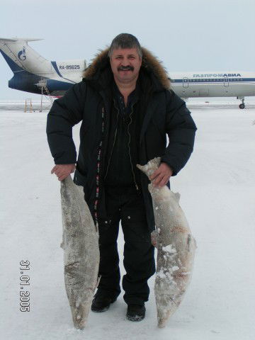 Владимир Руженко