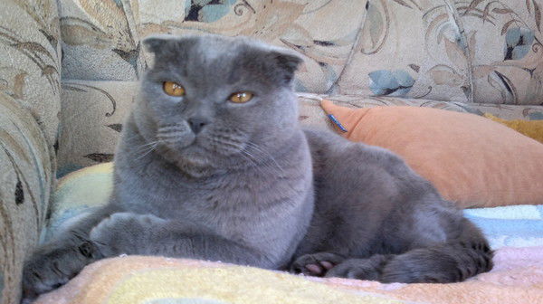 Вадим Иванов