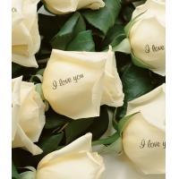 Айгул Жаксыбаева