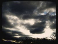 Антон Безымянный