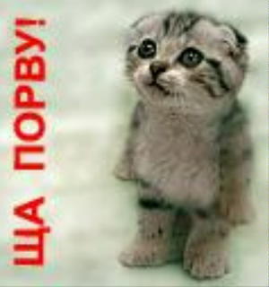 Сергей Егоров