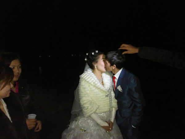 Дикая  Косу'ля Сайгачонок