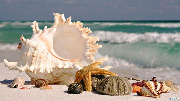 Мария Тумакова