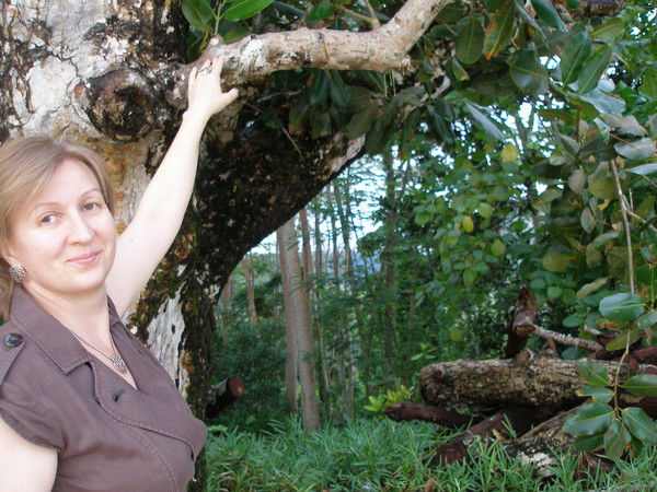 Ирина Щербина