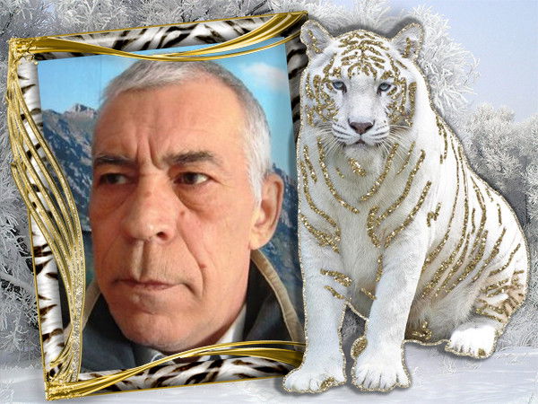 Владимир Сурков