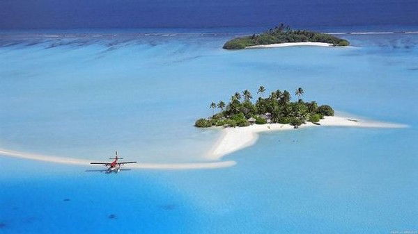 Светлана Галлямова