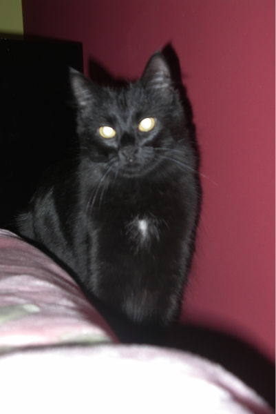 Вера Малькевич