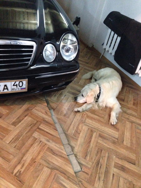 Сергей Чорнобровый