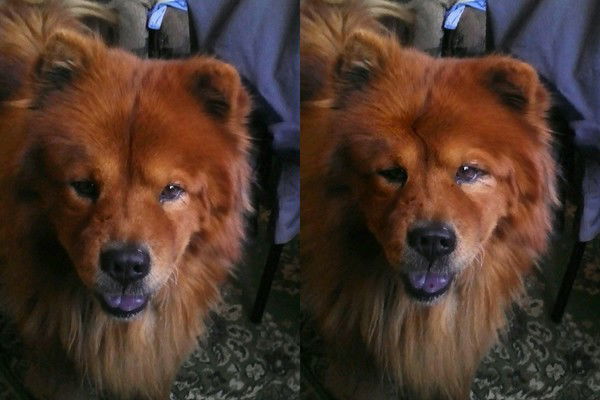 Евгений Марков