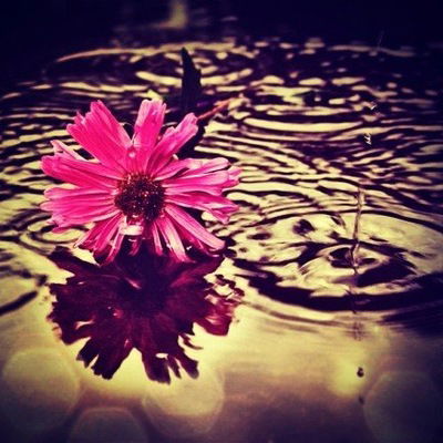 Валерия Гатилова