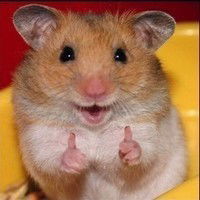 Даврон Джалилов