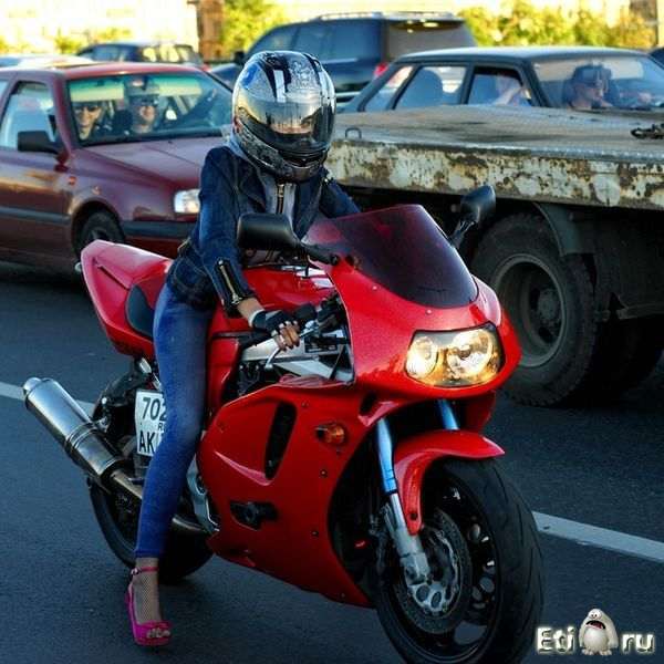 Дмитрий Пузыревский