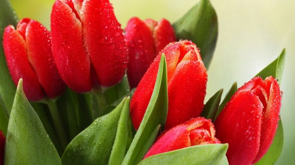 Айнур Ахилбекова