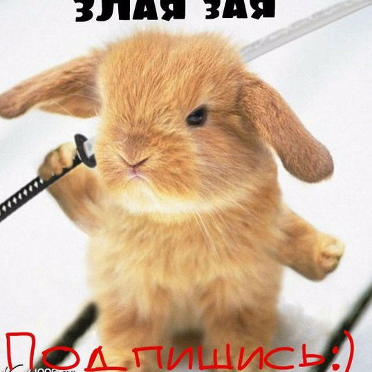 ک❞ ℤlãя ℤãя ❞ک