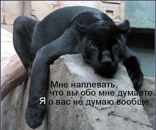 Николай Пугачев