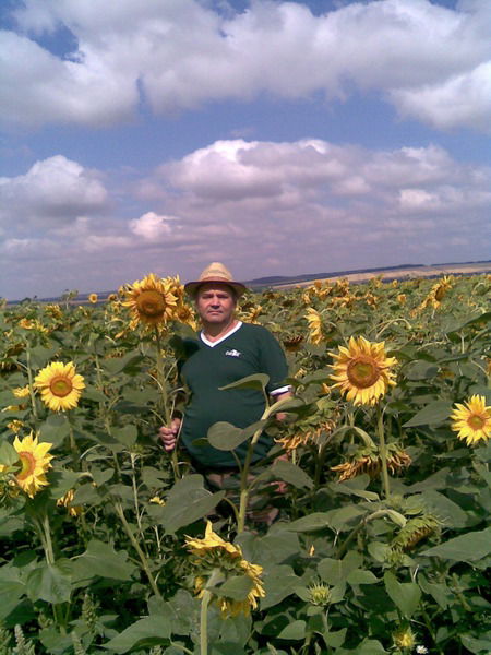 Николай Тараненко