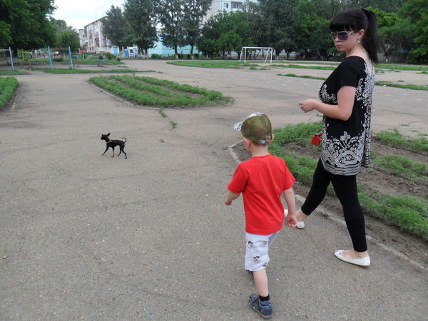 Анастасия Синицына