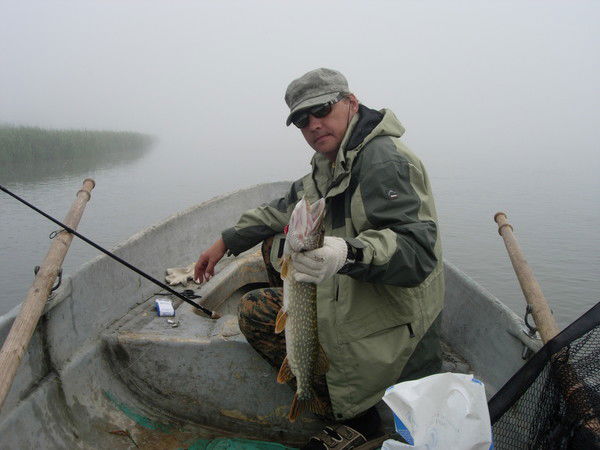 Александр Альяных