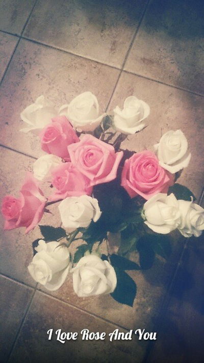 Анька Медвешчак