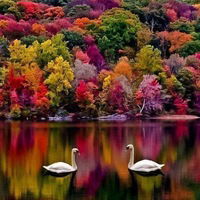 Соня Щербагина