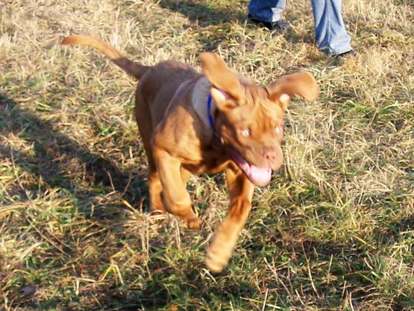 Виктория Козлова