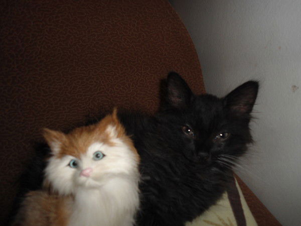 Татьяна Тулаева