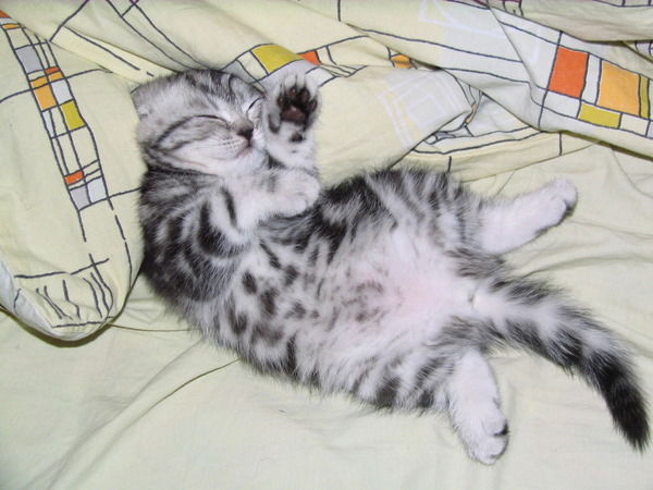 Юрий Баринов