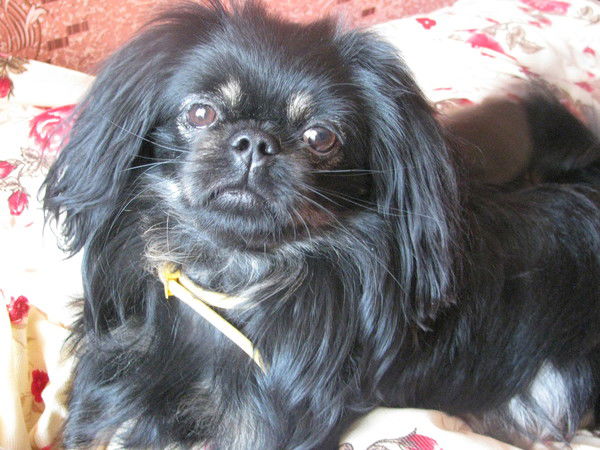 Валера Золотарев