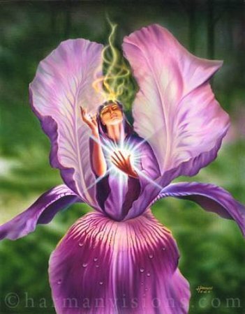 Ирис Тышкевич