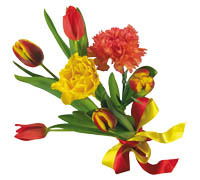 Елена Левшина