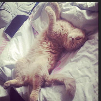 Агата Шиндакова