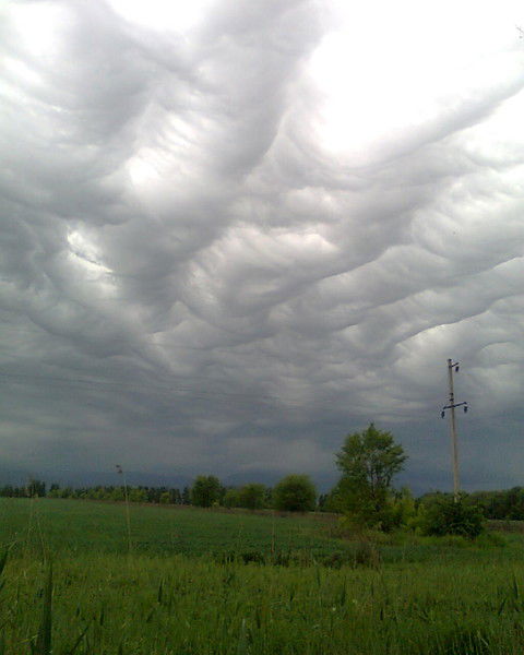 Николай Николаев