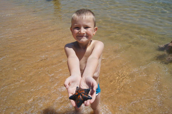 Сева Протасов