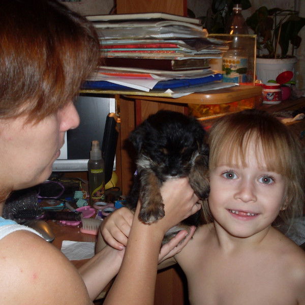 Наталья Богданова