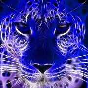 Марина Уколова