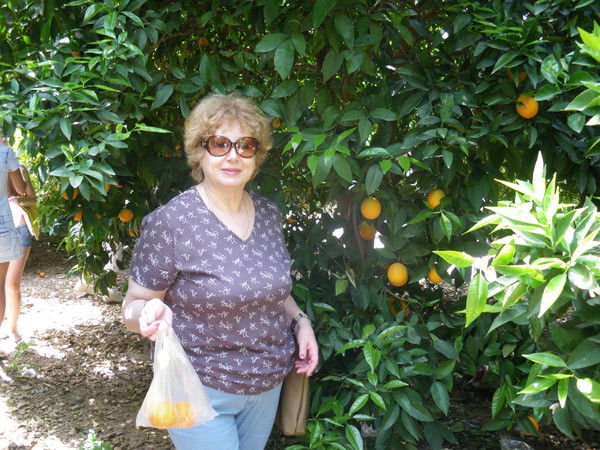 Алла Бондарева