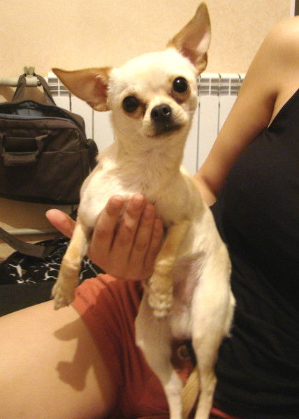 Анна Карелина