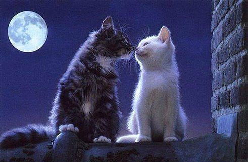 Под Его Защитой