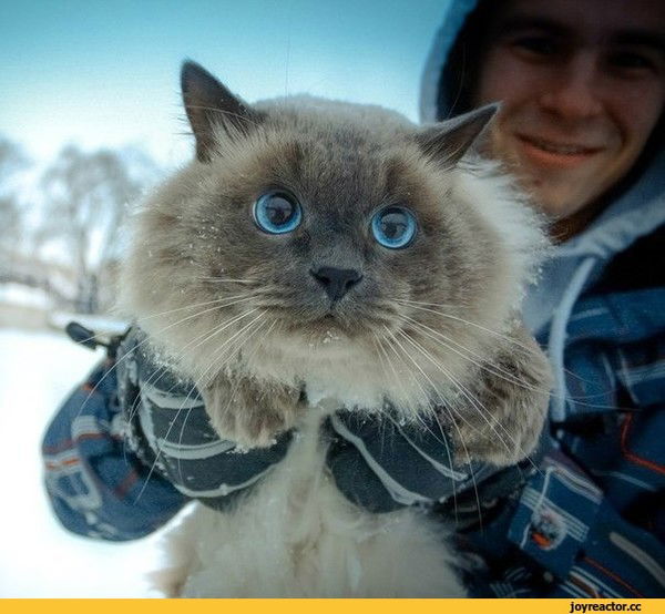 Асан Хасенов