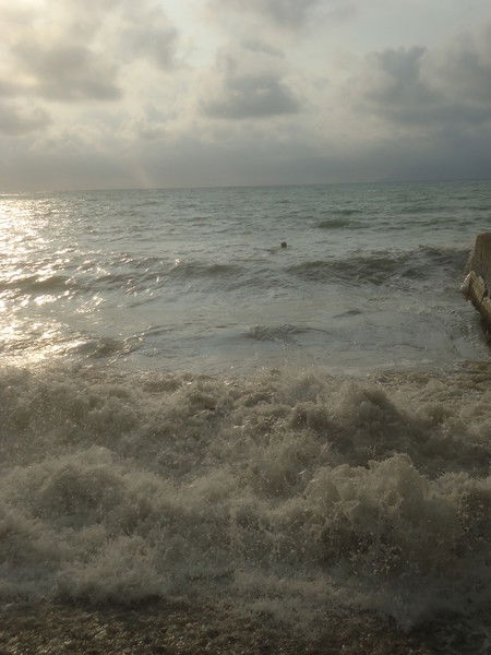 Анастасия Петрова