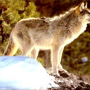 Андрей Дубинин