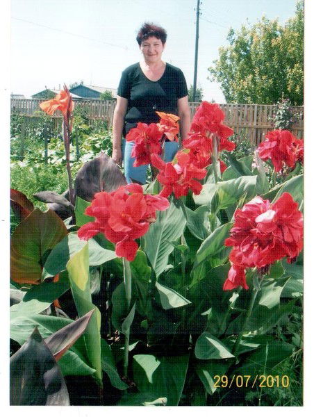 Лида Причко