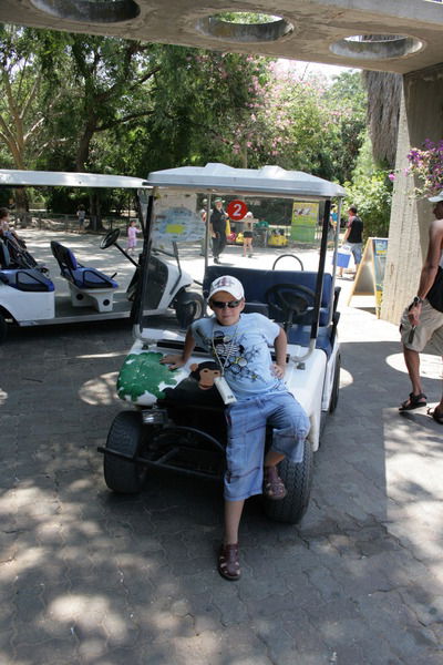 Дима Фурман