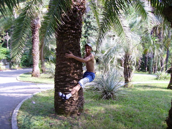 Николай Баженов