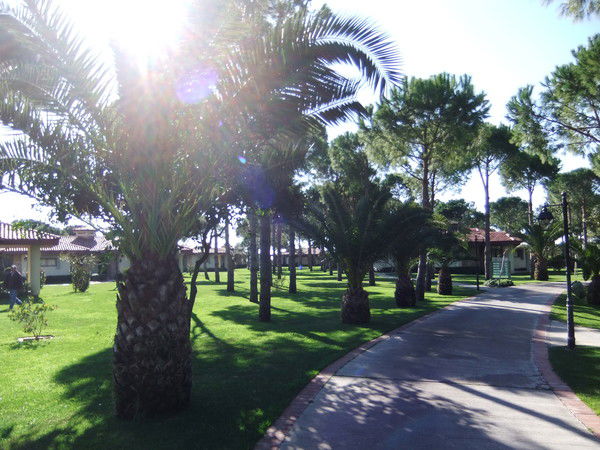 Гульнара Бакшилова