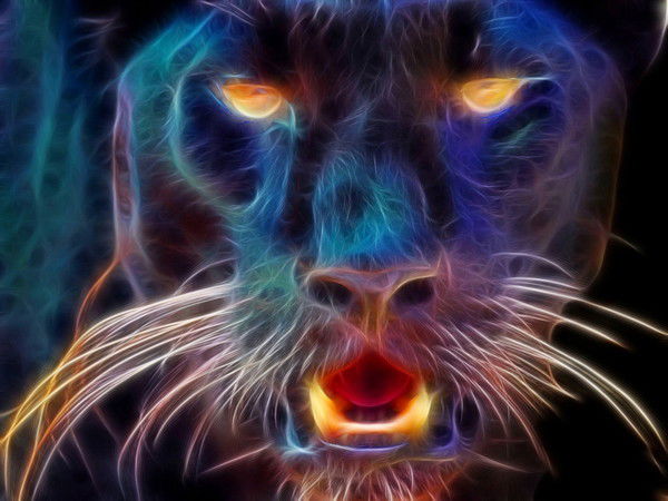 Антон Ефименко