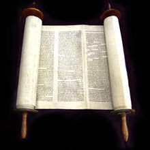 Доктор Шаман F.t.w