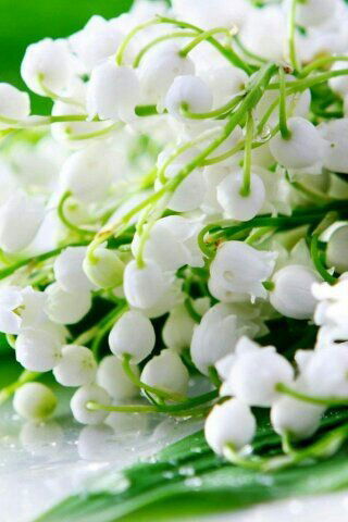 Наташа Филатова